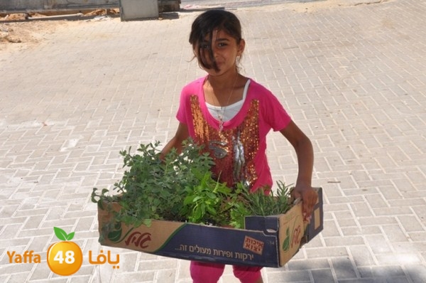 tasoo qemam (51).JPG